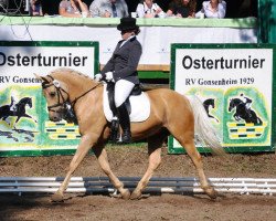 dressage horse Cognac v.S. (German Riding Pony, 1997, from Croupier)