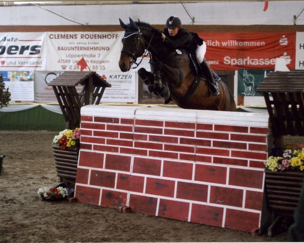 horse Lando 99 (Hanoverian, 1993, from Landadel)