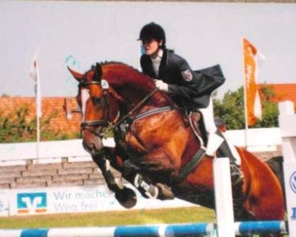 stallion Rebell n.a (Mecklenburg, 1991, from Rebel Z I)
