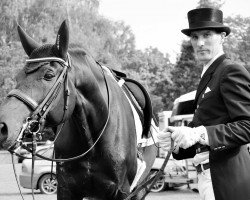 dressage horse Fairytale S (anglo european sporthorse, 2004, from Reve D'Or)