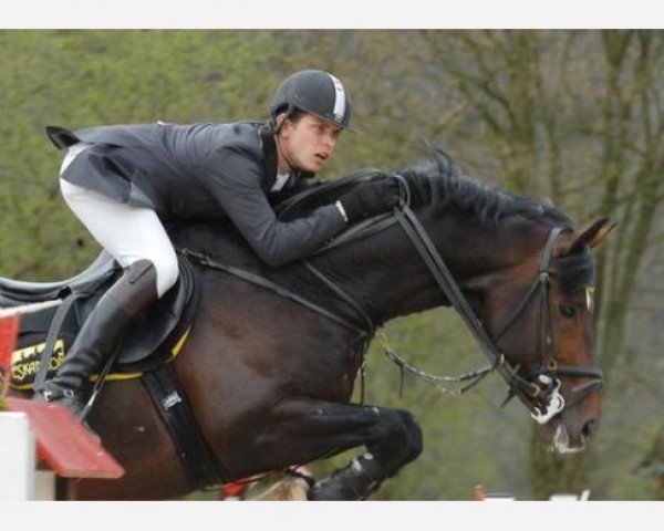 stallion Pikeur Ailton (Westphalian, 2001, from Arpeggio)