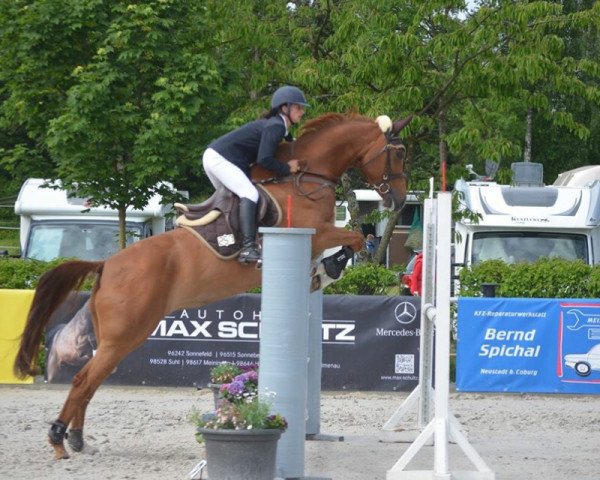 jumper Gracy Girl (Bavarian, 2006, from Baloubino B)