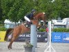 jumper Gracy Girl (Bavarian, 2006, from Baloubino B)