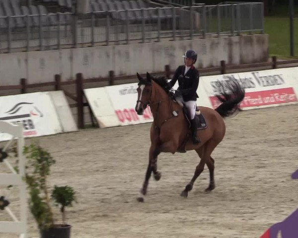 Reitturnier Westergellersen 2020