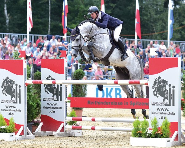 stallion Chacoon Blue (Mecklenburg, 2009, from Chacco-Blue)