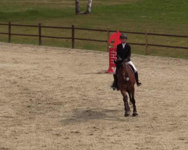 Reitturnier Westergellersen 2020