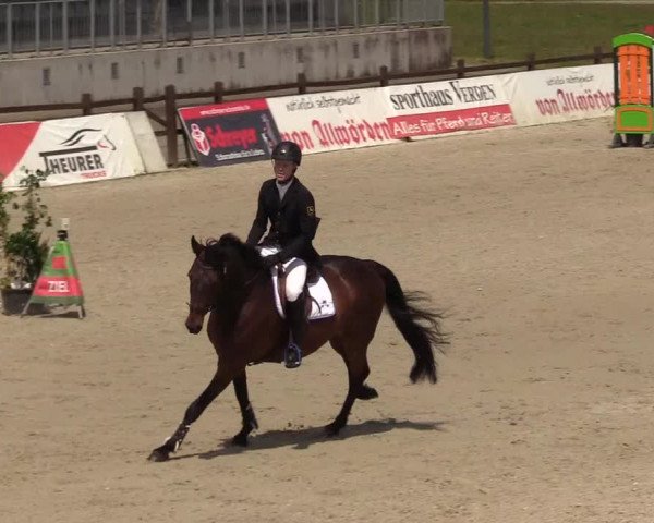 Reitturnier Westergellersen 2020