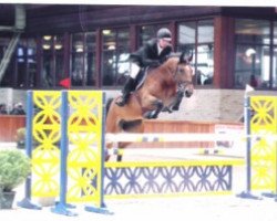 jumper Elina van het Elkenhof (Belgian Warmblood, 2004, from Nonstop)