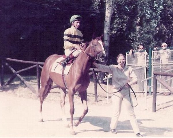 horse Boxberger Dream xx (Thoroughbred, 1979, from My Swanee xx)