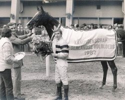 broodmare Boxberger Beauty xx (Thoroughbred, 1979, from Filandre xx)