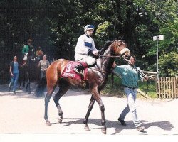 broodmare Boviron xx (Thoroughbred, 1998, from Environment Friend xx)