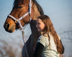 Dressurpferd Gilly Pulizer (Deutsches Reitpony, 2006, von Nantario)