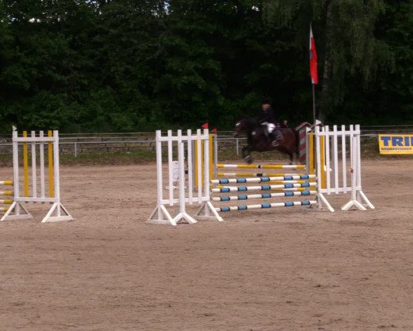 Reitturnier Lgl.-Oberhain, B95 2020