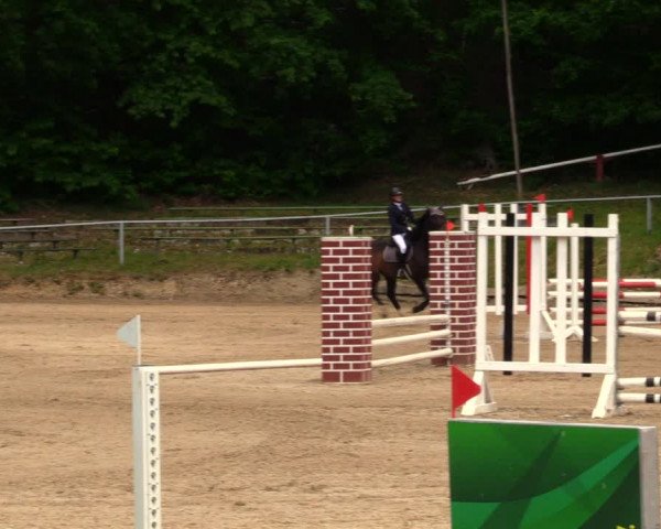 Reitturnier Lgl.-Oberhain, B95 2020