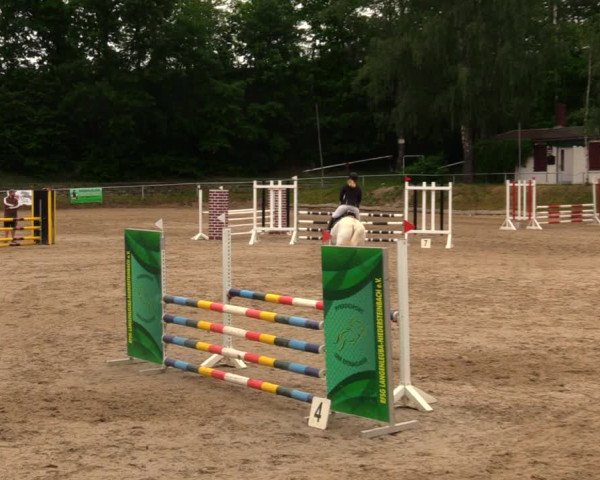 Reitturnier Lgl.-Oberhain, B95 2020