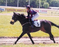 horse Bluetong xx (Thoroughbred, 1993, from Petong xx)