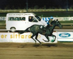 broodmare Blue Lightning xx (Thoroughbred, 1987, from Able Albert xx)