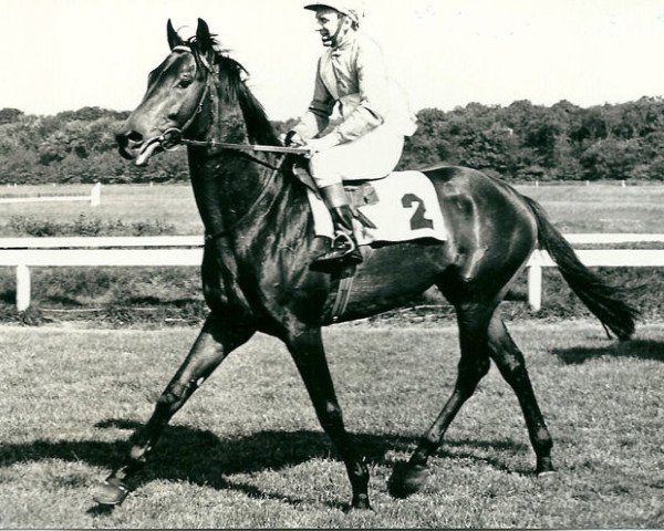 horse Blue Fandango xx (Thoroughbred, 1971, from Le Fandango xx)