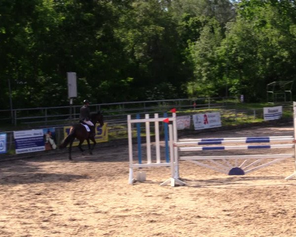 Reitturnier Lgl.-Oberhain, B95 2020