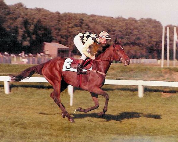 broodmare Blandor xx (Thoroughbred, 1979, from Le Coq D'Or xx)