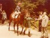 stallion Blakey Ridge xx (Thoroughbred, 1973, from Busted xx)