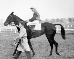 horse Belle d'Or xx (Thoroughbred, 1940, from Vatellor xx)