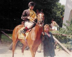 horse Bella Raaphorst xx (Thoroughbred, 1989, from Bellypha xx)