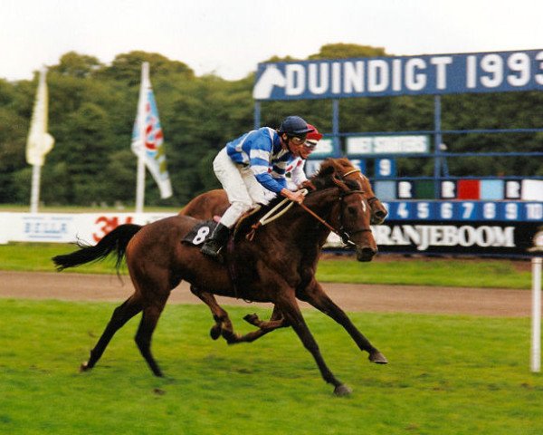 horse Beldale Lady xx (Thoroughbred, 1990, from Silver Look xx)