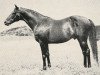 stallion Flocon xx (Thoroughbred, 1946, from Fastnet xx)