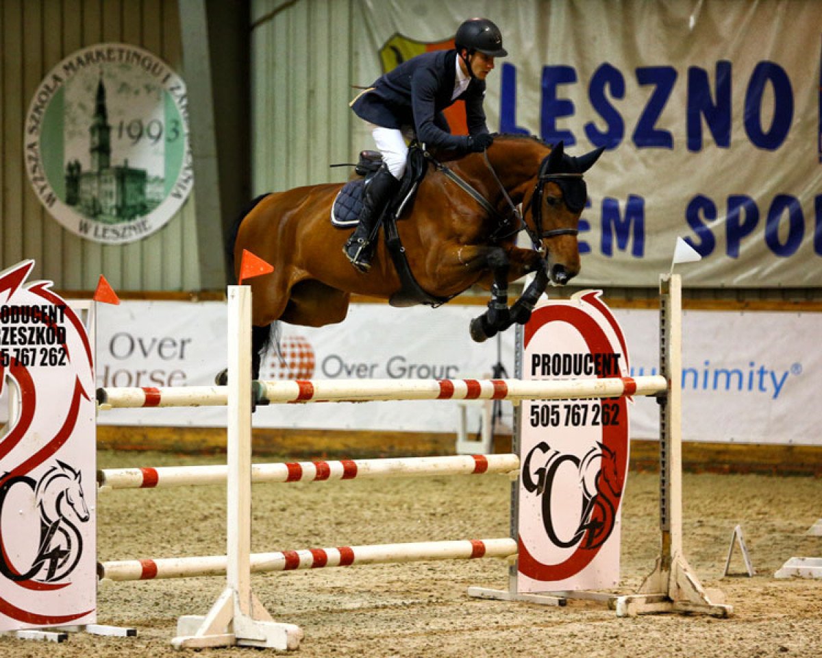 jumper Chacco's Girl 4 (Oldenburg show jumper, 2008, from Chacco-Blue)