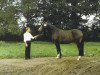 broodmare Notre Dame (Hanoverian, 1975, from Nomade)