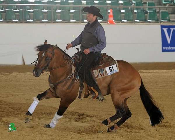 Pferd Balitos Little Cody (Quarter Horse, 2011, von Wimpys Balito)