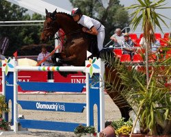 jumper Chito Blue (Oldenburg show jumper, 2005, from Chacco-Blue)