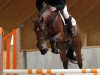 stallion Etoulon VDL (KWPN (Royal Dutch Sporthorse), 2009, from Toulon)