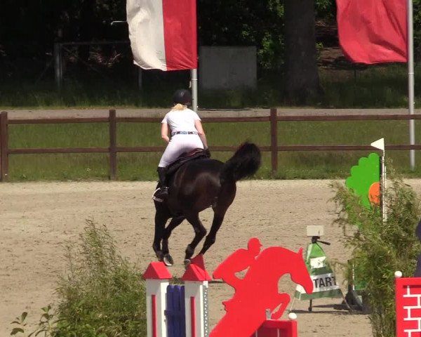 Reitturnier Westergellersen 2020