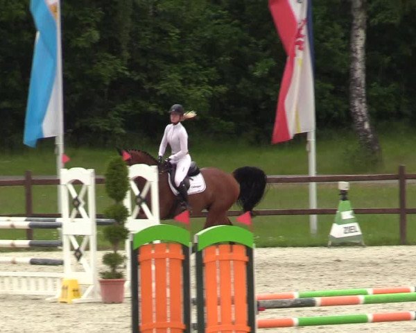 Reitturnier Westergellersen 2020