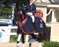 dressage horse Pikko del Cerro Hu (Hanoverian, 2003, from Pik L)