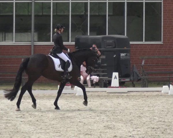 Reitturnier Langenfeld - Gut Langfort 2020