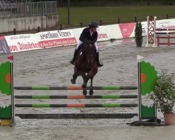Reitturnier Westergellersen 2020