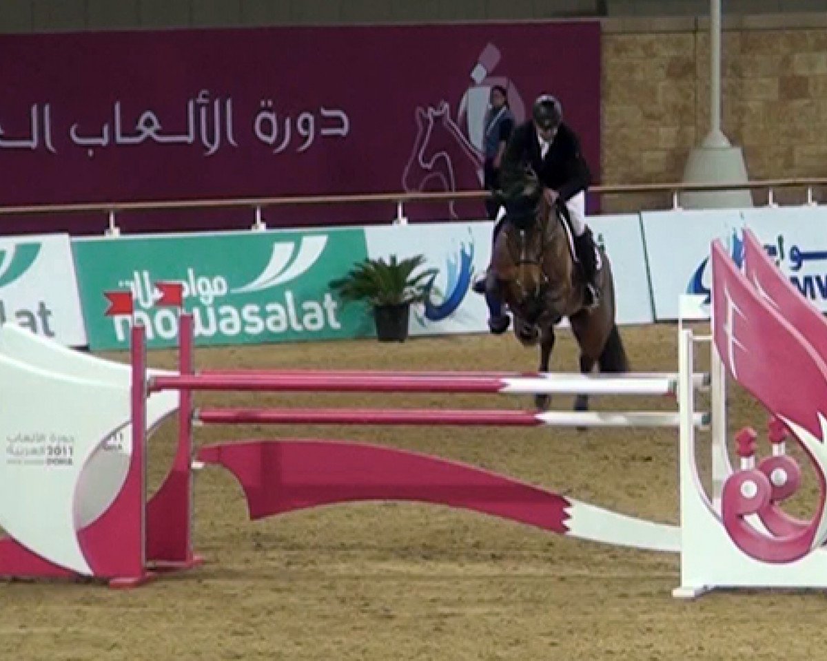 jumper Jument Dufee (Nederlands Rijpaarden en Pony, 2002, from Jumpy des Fontaines)