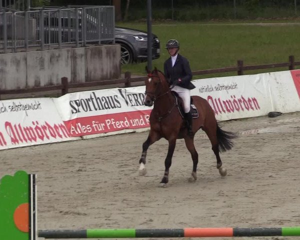 Reitturnier Westergellersen 2020