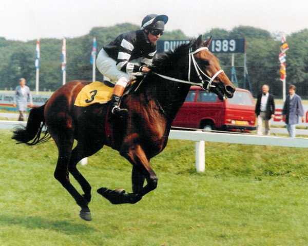 horse Antares xx (Thoroughbred, 1987, from Blakey Ridge xx)
