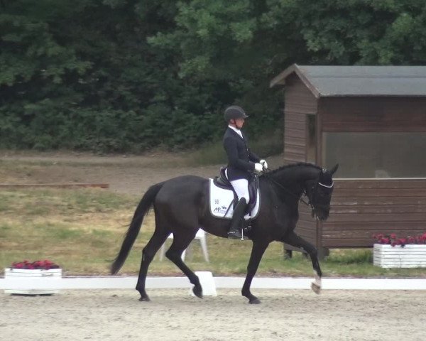 Reitturnier Langenfeld - Gut Langfort 2020