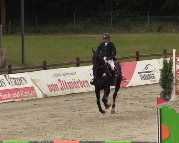 Reitturnier Westergellersen 2020