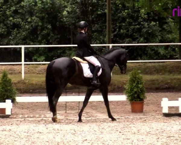 Reitturnier Heiden 2020