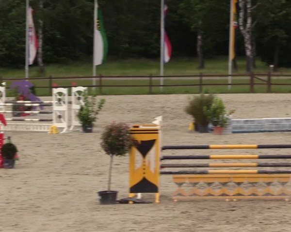 Reitturnier Westergellersen 2020