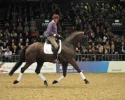 dressage horse Blue Hors Zick Flower (Danish Warmblood, 2008, from Zack)