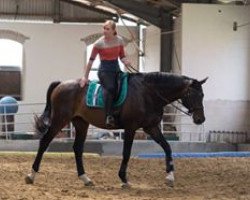 dressage horse Weltruhm 3 (Oldenburger, 1997, from Welt Hit II)