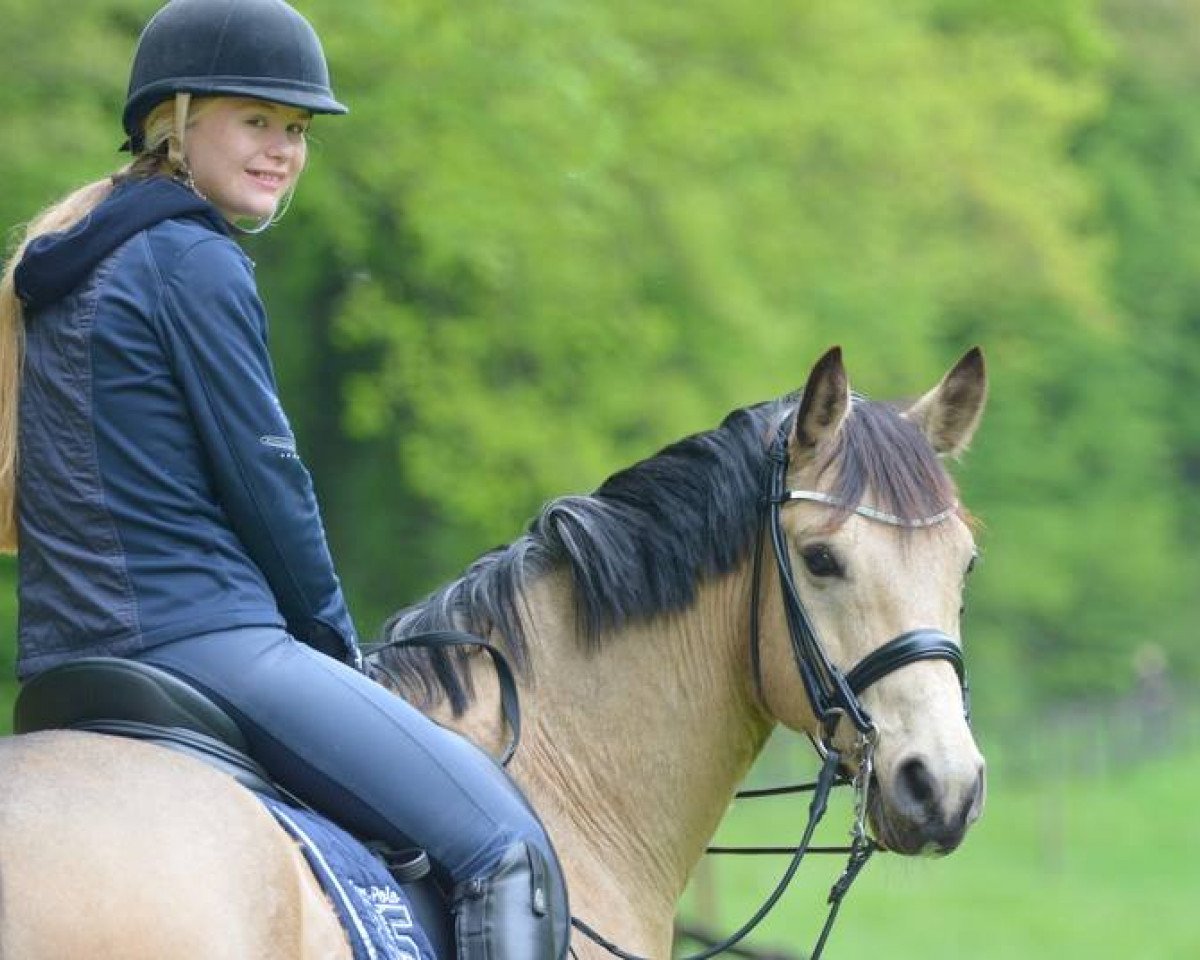 dressage horse Dos Manos LG (German Riding Pony, 2008, from Dance Star AT NRW)