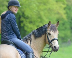 dressage horse Dos Manos LG (German Riding Pony, 2008, from Dance Star AT)